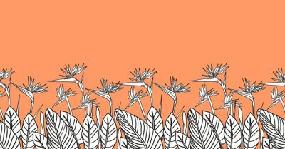 Papier peint  Bird of paradise flower, line art tropical strelitzia floral seamless boarder black and white and orange color.  background for prints, fabric, wallpapers, wrapping paper, poster, card