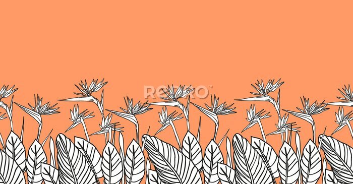 Papier peint  Bird of paradise flower, line art tropical strelitzia floral seamless boarder black and white and orange color.  background for prints, fabric, wallpapers, wrapping paper, poster, card