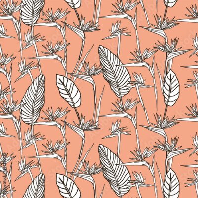 Papier peint  Bird of paradise flower, line art tropical strelitzia floral seamless pattern black and white and orange color. Vector background for prints, fabric, wallpapers, wrapping paper, poster, card