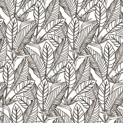 Papier peint  Bird of paradise flower, line art tropical strelitzia floral seamless pattern black and white color. Vector background for prints, fabric, wallpapers, wrapping paper, poster, card