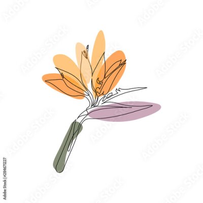 Papier peint  bird of paradise flower one line drawing. Editable line. Minimal abstract art. Exotic Strelitzia flower in one line art drawing style. Bird of paradise flower minimalist black line sketch on white