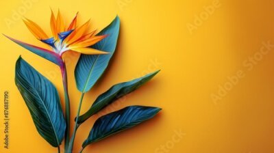 Papier peint  Bird of Paradise flower or Strelitzia isolated