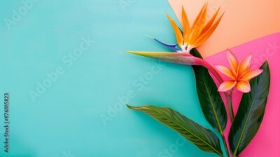 Papier peint  Bird of Paradise flower or Strelitzia isolated