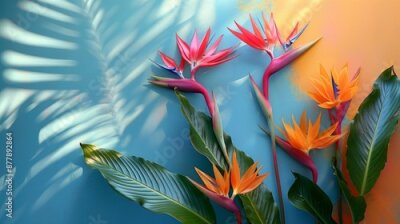 Papier peint  Bird of Paradise flower or Strelitzia isolated