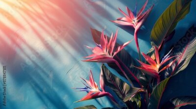 Papier peint  Bird of Paradise flower or Strelitzia isolated