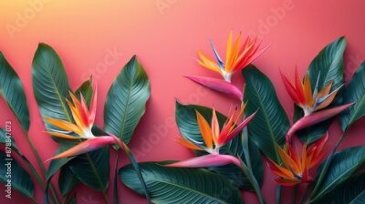 Papier peint  Bird of Paradise flower or Strelitzia isolated