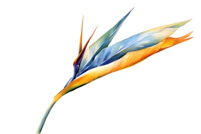 Papier peint  Bird of Paradise flower or Strelitzia Reginae in Blue and Golden, Watercolor illustration