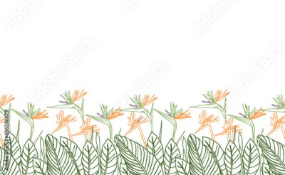 Papier peint  Bird of paradise flower tropical strelitzia floral seamless boarder with green and orange colors. Vector background for prints, fabric, wallpapers, wrapping paper, poster, card