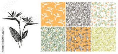 Papier peint  Bird of paradise flower tropical strelitzia floral seamless pattern set with green and orange colors. Vector background for prints, fabric, wallpapers, wrapping paper, poster, card