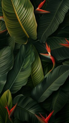 Papier peint  bird of paradise flowers mobile wallpaper strelitzia green leaves pattern background orange yellow petals garden forest jungle nature drawing painting texture design plant illustration environment