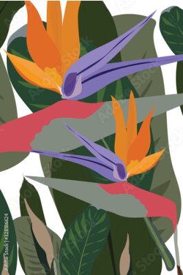 Papier peint  Bird of paradise flowers with tropical green leafs isolated on white background. Cool african crane flower or strelitzia reginae blossom floral fabric. Stock vector illustration.