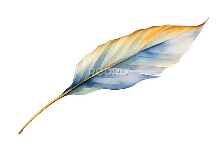 Papier peint  Bird of paradise leaf or Strelitzia Reginae in golden and blue, Watercolor illustration