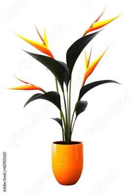 Papier peint  bird of paradise plant on pot. Strelitzia