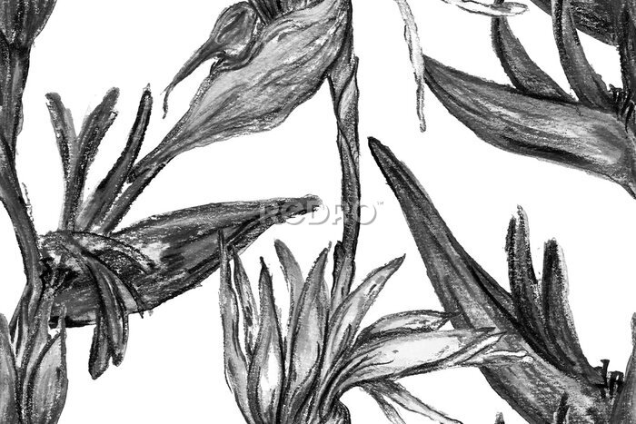 Papier peint  Bird of Paradise Seamless Pattern for Swimwear. Black and White Bird-of-Paradise Spring-Summer Tile Tropical Leaf Background. Large Polynesia Floral Print. Strelitzia Feminine Exotic Design.
