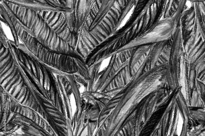 Papier peint  Bird of Paradise Seamless Pattern for Swimwear. Black and White Strelitzia Feminine Exotic Design.  Bird-of-Paradise Spring-Summer Tile Tropical Leaf Background. Large Polynesia Floral Print.