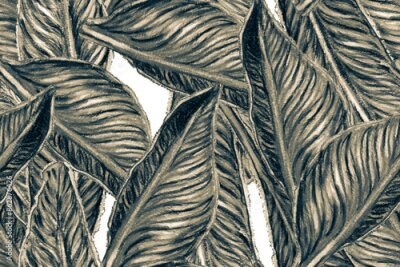 Papier peint  Bird of Paradise Seamless Pattern for Swimwear. Black and White Strelitzia Feminine Exotic Design.  Bird-of-Paradise Spring-Summer Tile Tropical Leaf Background. Large Polynesia Floral Print.
