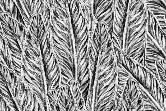 Papier peint  Bird of Paradise Seamless Pattern for Swimwear. Black and White Strelitzia Feminine Exotic Design.  Bird-of-Paradise Spring-Summer Tile Tropical Leaf Background. Large Polynesia Floral Print.