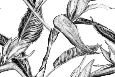 Papier peint  Bird of Paradise Seamless Pattern for Swimwear. Black and White Strelitzia Feminine Exotic Design.  Tropical Leaf Background. Large Polynesia Floral Print. Bird-of-Paradise Spring-Summer Tile