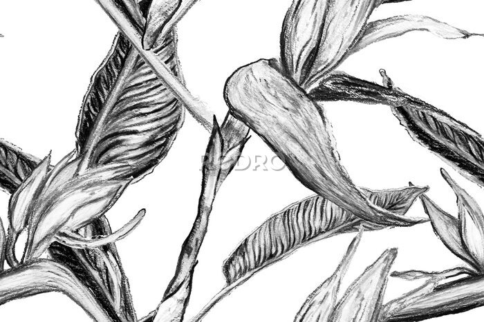 Papier peint  Bird of Paradise Seamless Pattern for Swimwear. Black and White Strelitzia Feminine Exotic Design.  Tropical Leaf Background. Large Polynesia Floral Print. Bird-of-Paradise Spring-Summer Tile