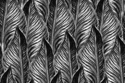 Papier peint  Bird of Paradise Seamless Pattern for Swimwear. Black and White Tropical Leaf Background. Large Polynesia Floral Print. Bird-of-Paradise Spring-Summer Tile Strelitzia Feminine Exotic Design.