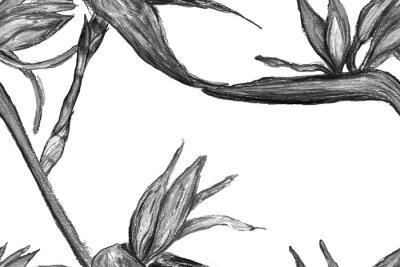 Papier peint  Bird of Paradise Seamless Pattern for Swimwear. Black and White Tropical Leaf Background. Large Polynesia Floral Print. Strelitzia Feminine Exotic Design.  Bird-of-Paradise Spring-Summer Tile