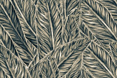 Papier peint  Bird of Paradise Seamless Pattern for Swimwear. Black and White Tropical Leaf Background. Large Polynesia Floral Print. Strelitzia Feminine Exotic Design.  Bird-of-Paradise Spring-Summer Tile