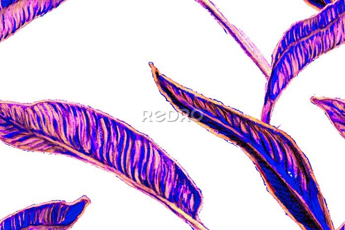 Papier peint  Bird of Paradise Seamless Pattern for Swimwear. Blue and Magenta Bird-of-Paradise Spring-Summer Tile Strelitzia Feminine Exotic Design.  Tropical Leaf Background. Large Polynesia Floral Print.