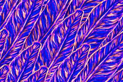 Papier peint  Bird of Paradise Seamless Pattern for Swimwear. Blue and Magenta Bird-of-Paradise Spring-Summer Tile Tropical Leaf Background. Large Polynesia Floral Print. Strelitzia Feminine Exotic Design.