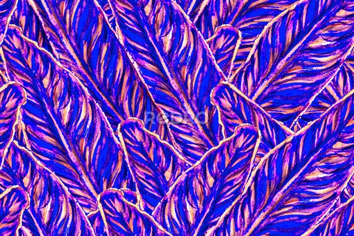 Papier peint  Bird of Paradise Seamless Pattern for Swimwear. Blue and Magenta Bird-of-Paradise Spring-Summer Tile Tropical Leaf Background. Large Polynesia Floral Print. Strelitzia Feminine Exotic Design.