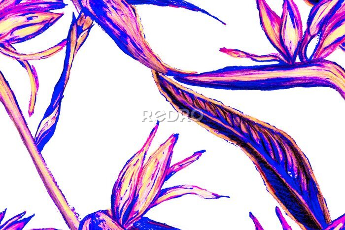 Papier peint  Bird of Paradise Seamless Pattern for Swimwear. Blue and Magenta Strelitzia Feminine Exotic Design.  Bird-of-Paradise Spring-Summer Tile Tropical Leaf Background. Large Polynesia Floral Print.
