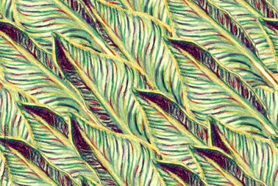 Papier peint  Bird of Paradise Seamless Pattern for Swimwear. Green and Yellow Bird-of-Paradise Spring-Summer Tile Tropical Leaf Background. Large Polynesia Floral Print. Strelitzia Feminine Exotic Design.