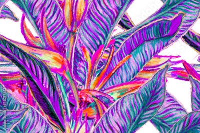 Papier peint  Bird of Paradise Seamless Pattern for Swimwear. Purple and Magenta Bird-of-Paradise Spring-Summer Tile Strelitzia Feminine Exotic Design.  Tropical Leaf Background. Large Polynesia Floral Print.