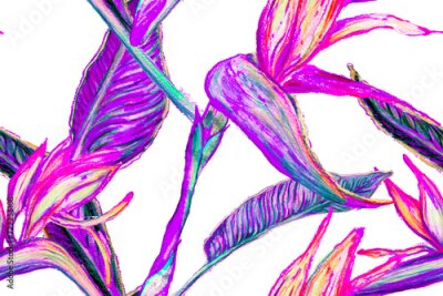 Papier peint  Bird of Paradise Seamless Pattern for Swimwear. Purple and Magenta Bird-of-Paradise Spring-Summer Tile Tropical Leaf Background. Large Polynesia Floral Print. Strelitzia Feminine Exotic Design.