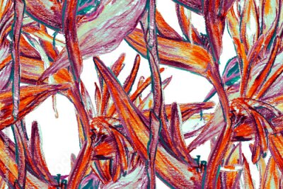 Papier peint  Bird of Paradise Seamless Pattern for Swimwear. Red and Purple Strelitzia Feminine Exotic Design.  Bird-of-Paradise Spring-Summer Tile Tropical Leaf Background. Large Polynesia Floral Print.