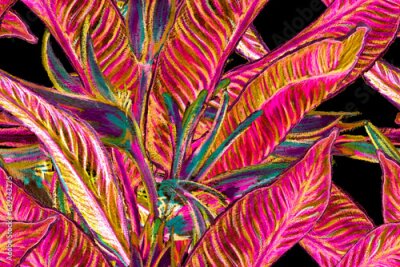 Papier peint  Bird of Paradise Seamless Pattern for Swimwear. Red and Purple Strelitzia Feminine Exotic Design.  Tropical Leaf Background. Large Polynesia Floral Print. Bird-of-Paradise Spring-Summer Tile