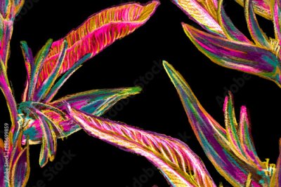 Papier peint  Bird of Paradise Seamless Pattern for Swimwear. Red and Purple Tropical Leaf Background. Large Polynesia Floral Print. Bird-of-Paradise Spring-Summer Tile Strelitzia Feminine Exotic Design.