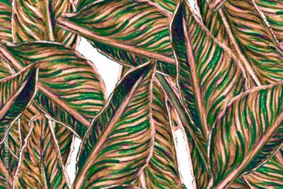Papier peint  Bird of Paradise Seamless Pattern for Swimwear. Red and Purple Tropical Leaf Background. Large Polynesia Floral Print. Bird-of-Paradise Spring-Summer Tile Strelitzia Feminine Exotic Design.
