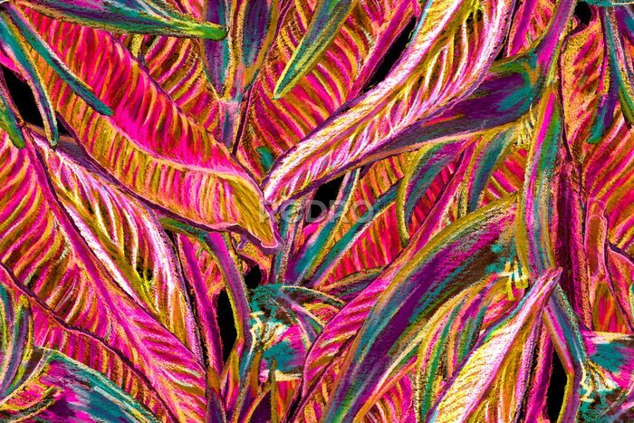 Papier peint  Bird of Paradise Seamless Pattern for Swimwear. Red and Purple Tropical Leaf Background. Large Polynesia Floral Print. Bird-of-Paradise Spring-Summer Tile Strelitzia Feminine Exotic Design.