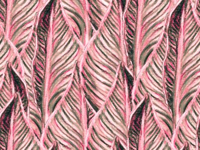 Papier peint  Bird of Paradise Seamless Pattern for Swimwear. Red and Purple Tropical Leaf Background. Large Polynesia Floral Print. Strelitzia Feminine Exotic Design.  Bird-of-Paradise Spring-Summer Tile