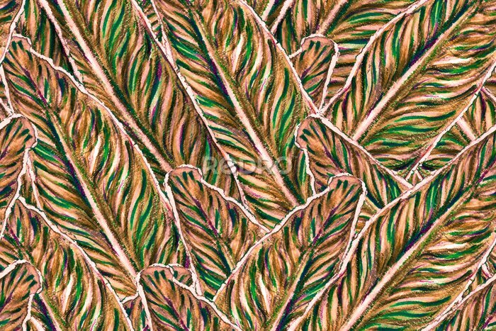 Papier peint  Bird of Paradise Seamless Pattern for Swimwear. Red and Purple Tropical Leaf Background. Large Polynesia Floral Print. Strelitzia Feminine Exotic Design.  Bird-of-Paradise Spring-Summer Tile