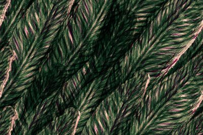 Papier peint  Bird of Paradise Seamless Pattern for Swimwear. Teal Green and Red Bird-of-Paradise Spring-Summer Tile Strelitzia Feminine Exotic Design.  Tropical Leaf Background. Large Polynesia Floral Print.