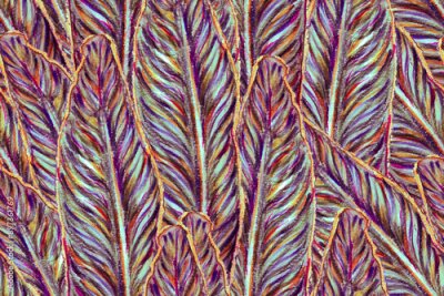 Papier peint  Bird of Paradise Seamless Pattern for Swimwear. Teal Green and Red Bird-of-Paradise Spring-Summer Tile Tropical Leaf Background. Large Polynesia Floral Print. Strelitzia Feminine Exotic Design.