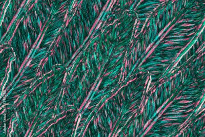 Papier peint  Bird of Paradise Seamless Pattern for Swimwear. Teal Green and Red Bird-of-Paradise Spring-Summer Tile Tropical Leaf Background. Large Polynesia Floral Print. Strelitzia Feminine Exotic Design.