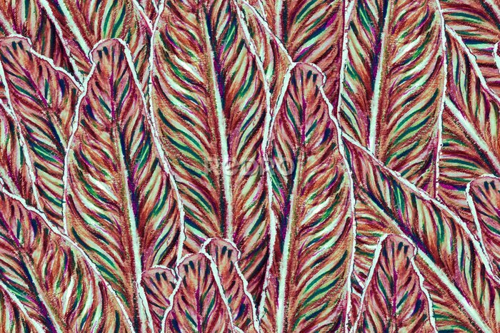 Papier peint  Bird of Paradise Seamless Pattern for Swimwear. Teal Green and Red Bird-of-Paradise Spring-Summer Tile Tropical Leaf Background. Large Polynesia Floral Print. Strelitzia Feminine Exotic Design.