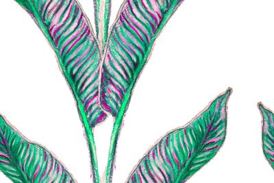 Papier peint  Bird of Paradise Seamless Pattern for Swimwear. Teal Green and Red Strelitzia Feminine Exotic Design.  Bird-of-Paradise Spring-Summer Tile Tropical Leaf Background. Large Polynesia Floral Print.