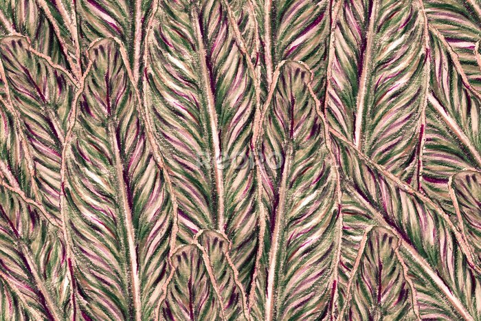 Papier peint  Bird of Paradise Seamless Pattern for Swimwear. Teal Green and Red Strelitzia Feminine Exotic Design.  Bird-of-Paradise Spring-Summer Tile Tropical Leaf Background. Large Polynesia Floral Print.