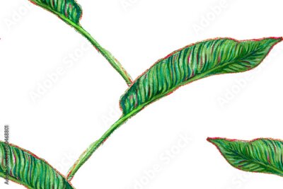 Papier peint  Bird of Paradise Seamless Pattern for Swimwear. Teal Green and Red Tropical Leaf Background. Large Polynesia Floral Print. Strelitzia Feminine Exotic Design.  Bird-of-Paradise Spring-Summer Tile