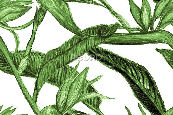 Papier peint  Bird of Paradise Seamless Pattern for Swimwear. Teal Green Bird-of-Paradise Spring-Summer Tile Strelitzia Feminine Exotic Design.  Tropical Leaf Background. Large Polynesia Floral Print.