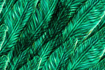 Papier peint  Bird of Paradise Seamless Pattern for Swimwear. Teal Green Strelitzia Feminine Exotic Design.  Bird-of-Paradise Spring-Summer Tile Tropical Leaf Background. Large Polynesia Floral Print.