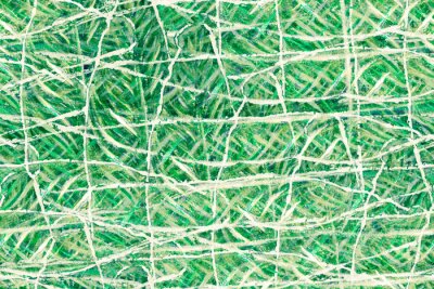 Papier peint  Bird of Paradise Seamless Pattern for Swimwear. Teal Green Strelitzia Feminine Exotic Design.  Bird-of-Paradise Spring-Summer Tile Tropical Leaf Background. Large Polynesia Floral Print.